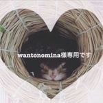 再販リクエスト⭐︎wantonomina様専用⭐︎