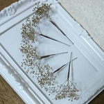 当日発送可能♥本物花の髪飾り♥ゴールドかすみ草のヘッドドレス
