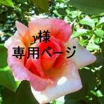 【y様専用ページ】クリスタルの中の深海＊*ロングネックレス。