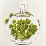 【38】 ＊Olive Green＊かすみ草ドライフラワー