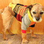 犬服　大きなチェック柄のクシュクシュラグラン　カラシ色のボア