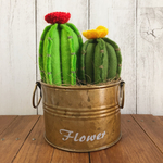 フェルト サボテン D