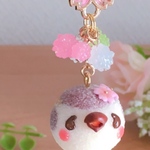 すずめのチュン🌸さくらが綺麗だね♪