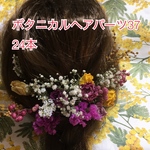 ドライフラワーヘアパーツ37  24本