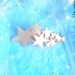 ☆　星のバレッタ　☆