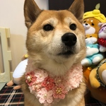 S様専用★桜の舞マフラー