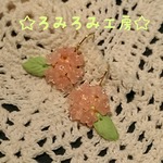 紫陽花(ピンク)