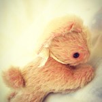 ハイハイのうさぎさん