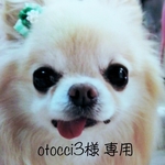 otocci3様 専用♡