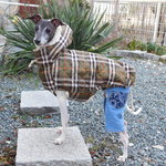 チェックコート～freesize　