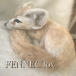 フェネック