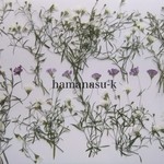 h様専用ページ　押花素材10　ミニかすみ草　