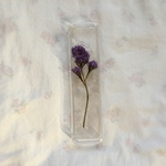 pen case