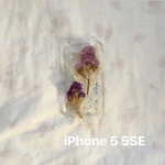 iPhone5 5SE case