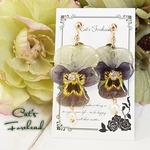 特別なビオラの押し花イヤリング／ピアス