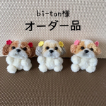 bi-tan様オーダー品美人三姉妹シーズーぽんぽん