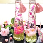 ハーバリウム～春色·桜花,桃花～