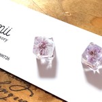 ﾌﾟﾁﾌﾟﾗ💓かすみ草の一粒ｷｭｰﾌﾞ  ﾋﾟｱｽ/ｲﾔﾘﾝｸﾞ