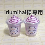 iriumihai様  フラペチーノ11個セット