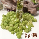 ドライフラワー No623　アラカルトセット