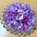 スターチス 花びら ドライフラワー MIXカラー