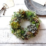 【Sサイズ】Succulent plants11 多肉植物のリース