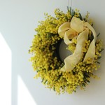  * mimosa×wreath *