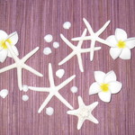 ☆再再販☆　スターフィッシュ　♪♪　梅雨が明ければ夏です！