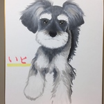 オーダー似顔絵(シュナウザー限定)Mサイズ