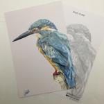 No.6「カワセミ」ANIMAL ART POST CARD２枚セット