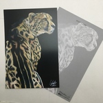 No.8「キングチーター」ANIMAL ART POST CARD２枚セット