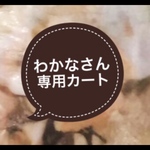 わかな様専用カート(慟哭の緞帳・松虫草で弔って・消失願望にて)