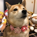 M様専用★2点おまとめ