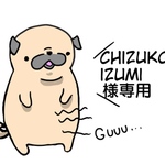 chizukoizumi様専用ページ♡