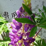 お客様専用ページ