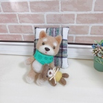 羊毛フェルト まったりな柴犬ちゃん