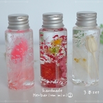 ハーバリウム＊mini3本セット②ブーゲンビリア✨💕