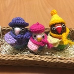 tomatopeesukeさま♡専用ページ: ボタンインコちゃん（ルリコシボタンインコ&ブルーボタンインコ&セキセイインコ）&冬のお出かけセット