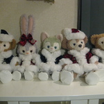 ｓ様ご注文品♡クリスマス☆ダフ・メイ・ステ・ジェラ♪5セット