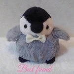 皇帝ペンギン🐧 もふもふコウくん❤️