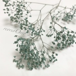 蕾かすみ草 パウダーターコイズ