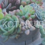 kota様専用 ワイヤーアレンジ ガーランド