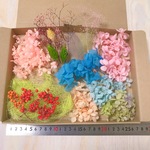＜2＞数量限定！花材アソート☆得々セット