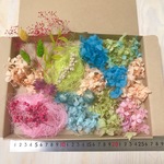 ＜5＞数量限定！花材アソート☆得々セット