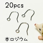 （20個10ペア）本ロジウム製フックピアス