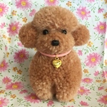 Thank youチャーム付き。毛糸のぽんぽん、おすわりトイプードル（純毛茶色）