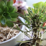 専用ページです⑅◡̈*