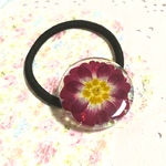 ジュリアンの押し花ヘアゴム