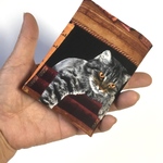 本棚の猫カードケース