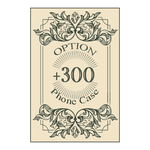 -Option-　+300円　　